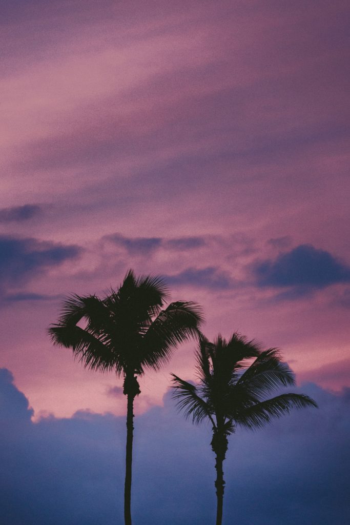 Fiji Honeymoon Guide