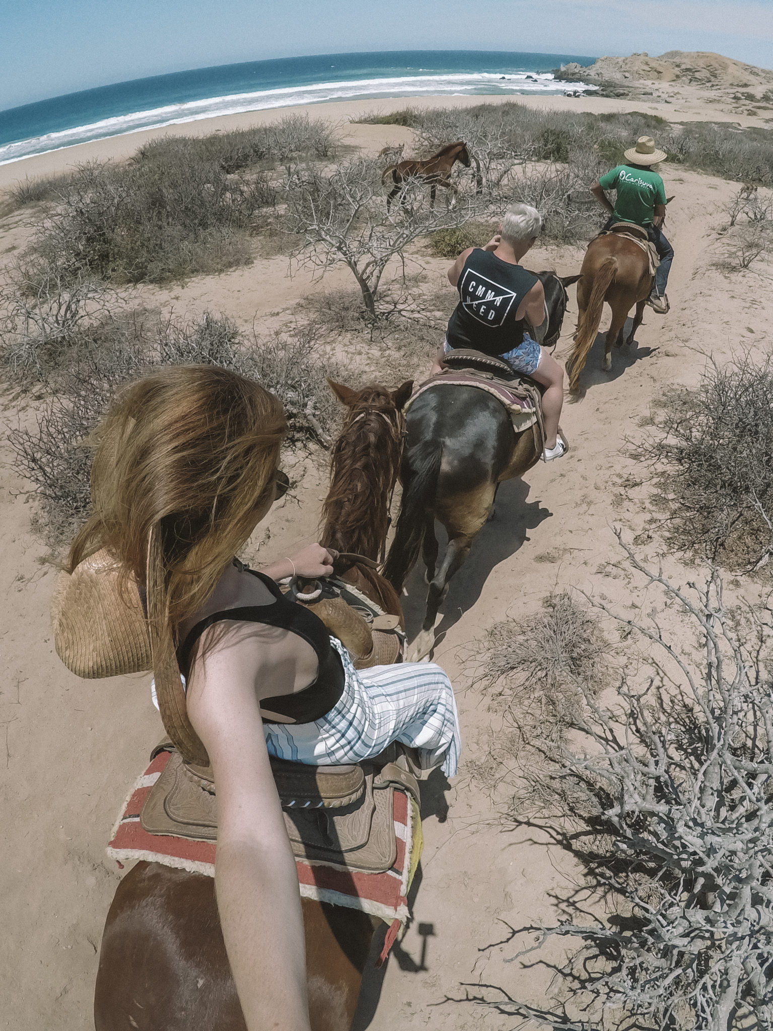 Los Cabos Horse Back Riding